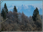 foto Salita dal Monte Tomba a Cima Grappa